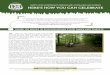 HAPPY 125TH ANNIVERSARY PENNSYLVANIA STATE PARKS … · HAPPY 125TH ANNIVERSARY PENNSYLVANIA STATE PARKS AND FORESTS! This booklet provides ideas for activities you can take within