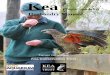Draft Kea Husbandry manual 1Sept 2010 website · New Zealand Office Email: steph@zooaquarium.org.au Phone: +64 9 360 3807 2.4 Captive Population As of March 2010 the known New Zealand