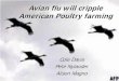 Avian flu will cripple American Poultry farmingfaculty.fortlewis.edu/lashell_b/AG300/Avian Flu.pdf · How Avian Flu Affects Poultry • •Low pathogenic viruse is responsible for