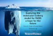 Exploring the molecular iceberg model for FASD: a …...Exploring the molecular iceberg model for FASD: a hope for the future Shiva M. Singh & Bonnie Alberry Research Lab University