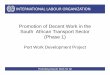 Promotion of Decent Work in the South African Transport ... · INTERNATIONAL LABOUR ORGANIZATION 2 Background and Justification In a memorandum of understanding facilitated through