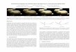 Directional Dipole for Subsurface Scattering in ...hachisuka/dirpole_tr.pdf · The rendering of translucent materials, such as skin, foods, stones, and many other natural materials,