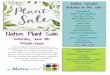 Native Species included in the sale - HVA Senior Living ... · Jen Salem 814-397-2640 jen@resciconsort.com Saturday, June 8th 9:00am-Noon Join the Regional Science Consortium and