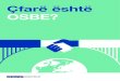 Çfarë është OSBE? · Demokratike dhe të Drejtat e Njeriut (ODIHR), e vendosur në Varshavë, përkrah zhvillimin demokratik dhe të drejtat e njeriut. Puna e saj përfshin vëzhgimin