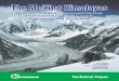 TThe Melting Himalayashe Melting Himalayas Himalayas_1.pdf · Himalayas – Afghanistan , Bangladesh , Bhutan , China , India , Myanmar , Nepal , and Pakistan – and the global mountain