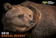 2018 ANNUAL REPORT - Western Environmental …...SAVING GRIZZLY BEARS Our legal team went to court to defend Yellowstone’s grizzly bears from the first grizzly trophy hunting season