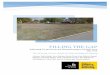 Filling the gap - University of Iowa Public Policy CenterFILLING THE GAP Addressing Vacant Parcels and Missing Housing in Fairfield, Iowa May 2016 The University of Iowa, School of