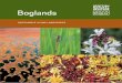 Publications Section, Scottish Natural Heritage, Boglands · 2017-06-08 · Scottish Natural Heritage Scottish Natural Heritage is a government body established by Parliament in 1992,