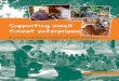 Supporting small forest enterprises · practical work to make it a reality. Thanks to Eileen Higgins for her work on the layout and design of this report. Finally, thanks to Maryke