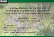 Reactive Barriers for the Passive Remediation of ... · Reactive Barriers for the Passive Remediation of Chlorinated Solvents in Sediments and Groundwater Discharge Michelle M. Lorah