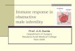 Immune response in obstructive male infertility · vasectomy reversal Studies of the immunologic consequences of vasectomy indicate that the sperm antibodies when they appear in the