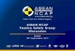 ASEAN NCAP Passive Safety Group Discussion€¦ · Safer Cars for ASEAN Region : m 2017 -2020 3 2017 -2020 Adult Occupant Protection 50% - Child Occupant Protection 25%