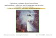 Emissions estimate from forest fires: methodology, software and … · 2015-09-10 · Emissions estimate from forest fires: methodology, software and European case studies C. Trozzi,