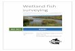 Wetland fish surveying - GW · Figure 1. The three wetlands at which fish surveying was carried out on the Kāpiti coast in spring 2017. Figure 2. Traps used during the present survey: