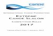 INTERNATIONAL CANOE EDERATION · 2017-05-03 · Taking effect from 1 January, 2017 . ICF Canoe Slalom Competition Rules 2 ... Special Rules for World Cup Competition except as modified