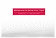The Future of Small Law Firms - lexisnexis.co.uk · The speed and extent of change has left morale among high street law firms, including sole practitioners, significantly weakened