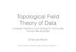 Topological Field Theory of Data - Sysma Unit|sysma.imtlucca.it/cina/lib/exe/fetch.php?media=merelli.pdf · 1. topological data analysis: homology methods to extract piecewise-linear