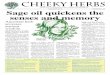 CHEEKY HERBS - static.shop033.comstatic.shop033.com/resources/4B/161611/Other/1208Augustw.pdf · menstrual problems. The Chinese used sage for fertility, believing it cured sterility