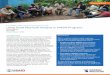 Sustainable WASH Systems Learning Partnership Using Social Network … · 2020-05-13 · Using Social Network Analysis in WASH Programs Page 2 Research Brief SNA Applications in SWS