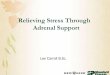 Relieving Stress Through Adrenal Support · Rhodiola root 20:1 extract 150 mg from Rhodiola rosea root 3.0 g Containing rosavins 4.5 mg and salidroside 1.5 mg Korean Ginseng root