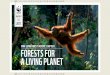 WWF LIVING FORESTS REPORT: CHAPTER 1 FORESTS FOR A … · 2012-01-03 · forests would need to be offset by an equivalent area of socially and environmentally sound forest restoration