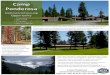 Camp Ponderosa - Montana DNRCdnrc.mt.gov/.../rfp/camp-ponderosa-svr-2018/camp-ponderosa-flyer.pdf · Camp Ponderosa lies in the beautiful Swan Valley, surrounded by hiking trails,