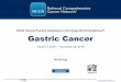 NCCN Clinical Practice Guidelines in Oncology NCCN Guidelines Gastric Cancer · 2019-12-29 · Gastric Cancer UPDATES Continued Updates in Version 3.2019 of the NCCN Guidelines for