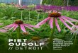 PIET - Oudolf Garden Detroit · Oudolf Garden Detroit is a local group of volunteers dedicated to creating and maintaining a Piet Oudolf public garden in Detroit. We operate under