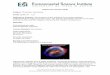 Supernova, Ozone, Earth - Environmental Science€¦ · The major chemical compounds that accelerate the depletion of ozone layer are nitric oxides (e.g. NO, NO 2, or generally written