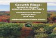 Growth Rings: Rooted in the past, growing toward the future · 2019-09-03 · Growth Rings: Forest Resources Division . Strategic Plan 2019-2023. Rooted in the past, growing toward