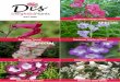 Dis Delightful Plants ordering details, terms & conditions · We’d love to hear how Di’s Delightful Plants is helping your garden grow; join our Facebook and Instagram communities