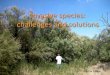 Invasive species: challenges and solutionsamarillo.tamu.edu/files/2011/02/Invasive-species-challenges-and-solutions.pdfchallenges and solutions Rachel Lange. Invasive species ... native