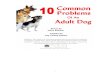 10 Common Problems...2017/03/10  · work because of their aggressive tendencies: German Shepherd Dogs, Doberman Pinschers. Others are bred to fight like Pit Bulls. 5 Aggressive dogs