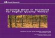 Growing Birch in Scotland for Higher Quality Timber...be better developed and more native in character than below plantation conifers, except for open pinewood. Birch is also valued