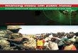 Campaign Against Arms Trade - Financing misery …...This brochure is based on the report Financing misery with public money: research into European military export credits by the