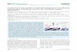 In Vitro and in Vivo Studies on Biomedical Magnesium Low ...lbmd.coe.pku.edu.cn/docs/20190319114533230640.pdf · In Vitro and in Vivo Studies on Biomedical Magnesium Low-Alloying