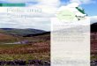 Landscape Character Type 13 Fells and Scarp · feeling landscapes. Pockets of heather moorland and seasonal colour changes provide interest to the broad open moorland areas. Sensitive
