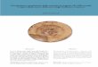 Circolazione e produzione della ceramica in Liguria (XI ... di Ceramiche3.pdf · lo studio della circolazione e dell’uso in Liguria della ceramica di provenienza mediterranea e