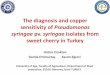 The diagnosis and copper sensitivity of ... - Inra Bordeaux · The diagnosis and copper sensitivity of Pseudomonas syringae pv.syringae isolates from sweet cherry in Turkey Hatice