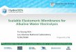 Scalable Elastomeric Membranes for Alkaline Water Electrolysis · 2020-06-26 · Scalable Elastomeric Membranes for Alkaline Water Electrolysis . Yu Seung Kim. Los Alamos National