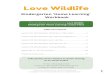 Kindergarten 'Home Learning' Workbook · Kindergarten Lesson #1: Kindness in My Heart How are wild animals feeling today in your neighbourhood? Draw the animal in the box and circle