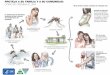 zika transmission infographic SPA - Colorado · Title: zika_transmission_infographic_SPA Author: Centers for Disease Control and Prevention Created Date: 5/11/2016 4:53:18 PM
