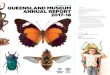 QUEENSLAND MUSEUM ANNUAL REPORT 2017-18/media/Documents/QMN/... · QUEENSLAND MUSEUM ANNUAL REPORT 2017-18 BOARD OF THE 23 August 2018 ... creating authentic and compelling experiences