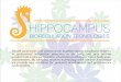 HIPPOCAMPUS - BIORISONANZA · Hippocampus-BRT Ltd., located in Budapest, Hungary, continues the on-going work in bioinformatics and bioregulation, which began in 1993. It was named