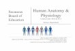 Human Anatomy & Physiology - Edl · 2019-11-25 · An Overview of Anatomy and Physiology Levels of Structural Organization Maintaining Life ... The Endocrine System The Endocrine
