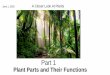 Introduction to Plants 1 A C… · transpiration in plants to absorption and transpiration in humans? 2-Explain one similarity and one difference between plants and animals with regard
