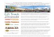 67,280 sf Retail Center Investment Opportunity Chestnut ......Chestnut Sq. 2 (9,128 sf) nice NOI, or Retail, Oﬃce, Self Storage Redo Located on SR 21/US 178 (Chestnut St.) in Orangeburg,