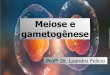 Meiose e gametogênese · 2016-06-16 · MITOSE MEIOSE I Período germinativo Período de crescimento Período de maturação OVOGÔNIA (2n) OVÓCITO I (2n) OVÓCITO II (n) e Corpúsculo