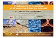 Hydraulic Fracturing A Wyoming Energy Forum€¦ · 17/1/2012  · Meeting Summary Table of Contents Introduction & Background ... Speaker Presentation Slides and Video. Hydraulic