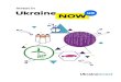 Invest in - Головна · 2,0-4,6 1,4-13,0 1,6 Government decentralization increased decision-making effectiveness of regional bodies regarding strategic planning and securing